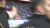 fa cup final 2013 kiss cam GIF by Wigan Athletic