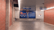 floridagators FloridaGators mrtwobits GIF