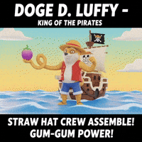 One Piece Pirate GIF by Doge Pound