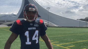 Montreal Alouettes Football GIF by Alouettes de Montréal