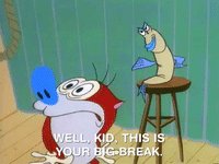 ren and stimpy nicksplat GIF