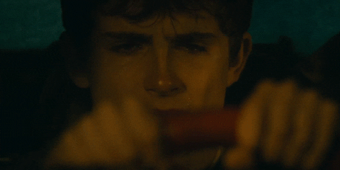 driving timothee chalamet GIF by A24
