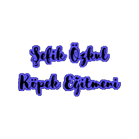 Sticker by Sefik Ozkul