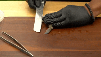 Knife Skills Cooking GIF by BDHCollective