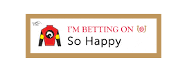 Horse Racing Sticker by Kentucky Derby