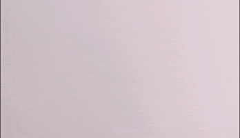 MunchingMonsterChewlery coffee starbucks tim hortons chew toy GIF