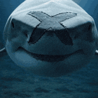 Shark Week Sea GIF by ElmonX