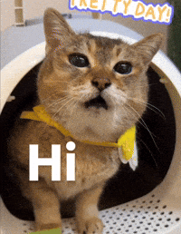 Mei Mei Hello GIF