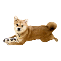 Shiba Sticker by TwinOaksCapital