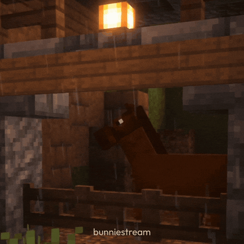 Horse Side Eye GIF