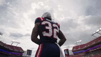 Football Shrug GIF by New England Patriots