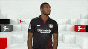 bayer leverkusen what GIF by Bundesliga