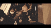 Maydaymayo okay peace understood mayday GIF