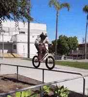 Bike Bicycle GIF