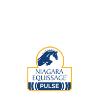 Niagaraequissage horse massage dressage keepcalm Sticker