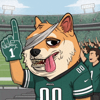 Philadelphia Eagles Football GIF by Doge Pound