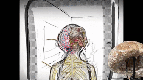 Lab Onf GIF by Alex Boya