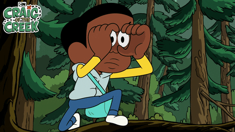 Look Out Craig Of The Creek GIF by Cartoon Network