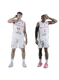 Crowd Swipe Up Sticker by Swiss Basketball