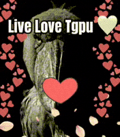 KGS64 love tgpu kingghidorahstan1964 funny tgpu GIF