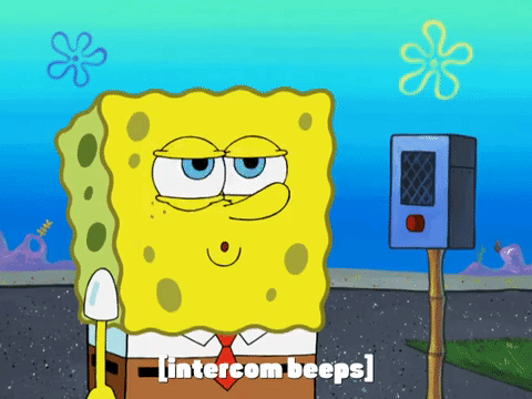 season 8 GIF by SpongeBob SquarePants