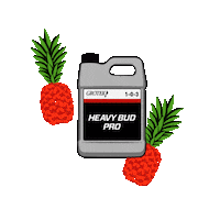Greenstar Sticker by Grotek Nutrients