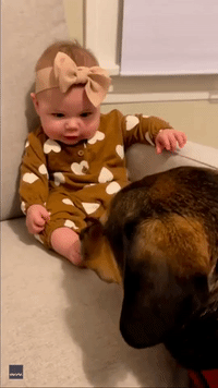 Baby Can't Control Her Laughter as Pooch Pal Licks Her Feet