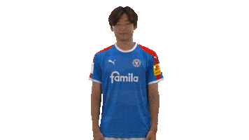 Holstein_Kiel seo left south korea 2 bundesliga Sticker