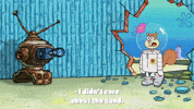 season 9 the fish bowl GIF by SpongeBob SquarePants