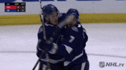 ice hockey hug GIF by NHL