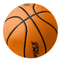 Basketball Sticker by Grace Prep Academy