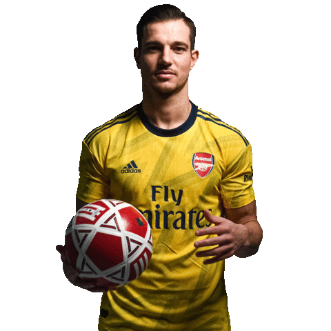 Premier League Football Sticker by Empower Sports