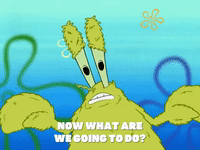 season 4 GIF by SpongeBob SquarePants