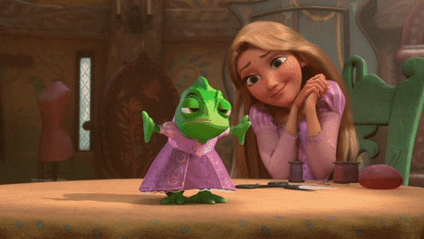 pets GIF