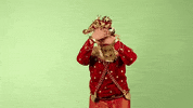 South Sumatra Gold GIF