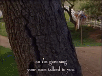 season 2 netflix GIF by Gilmore Girls 