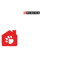 Gatos Perros Sticker by Purina España