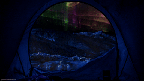 Camping Northern Lights GIF