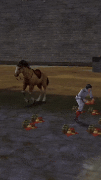 Silkroad Online Sro GIF