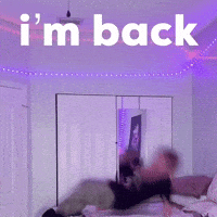 Humor Im Back GIF