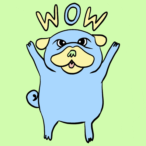 Fun Reaction GIF
