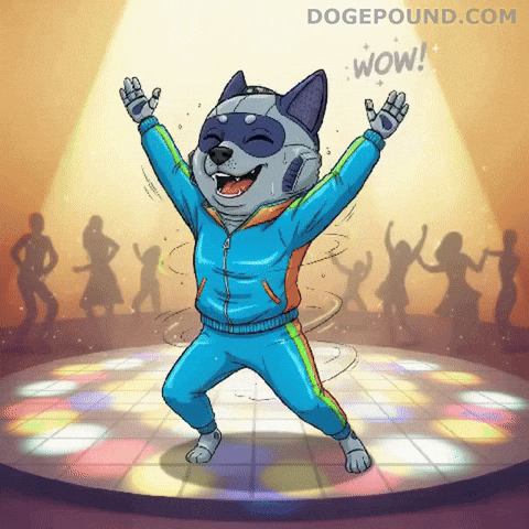 Happy Lets Go GIF by Doge Pound