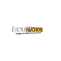Chiptuning Sticker by Ecunation Remapping Official