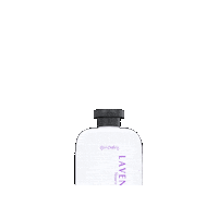 Bath Lavender Sticker by Bhargava Phytolab