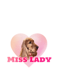 Cocker Spaniel Ladybug Sticker by Pimp Yo Pets