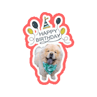 Happy Birthday Sticker by Milagency