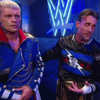 Cm Punk Wwe GIF