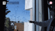 GIF by iGEM Headquarters