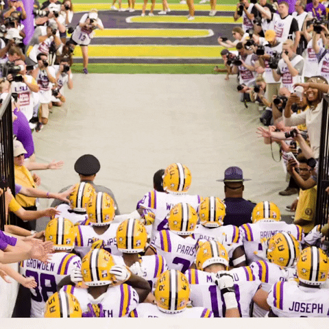 College Sports Football GIF by LSU Tigers
