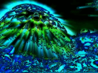 art colors GIF by MFD
